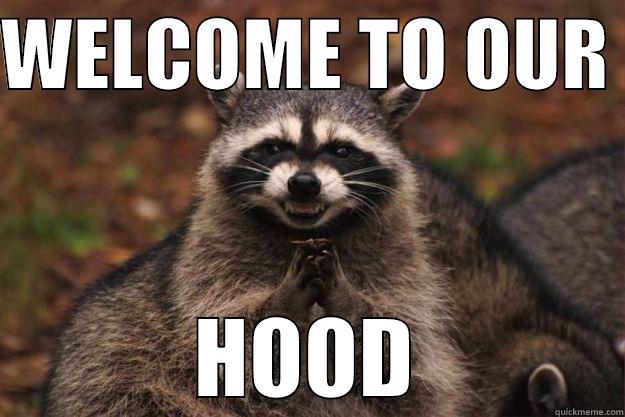 WELCOME TO OUR HOOD - WELCOME TO OUR  HOOD Evil Plotting Raccoon