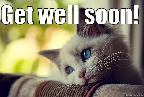 Image result for get well soon cats images