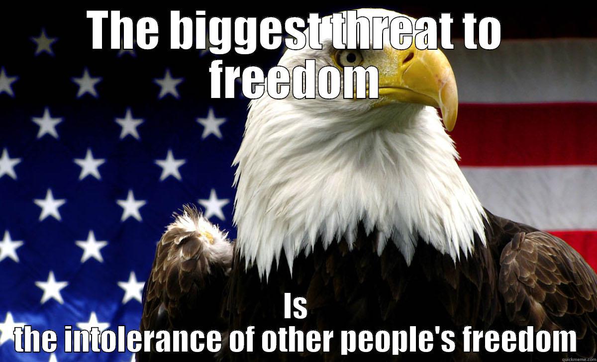 Bald Eagle Loves Freedom - quickmeme