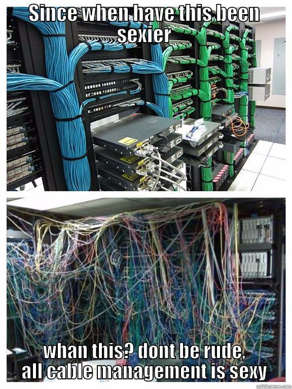 All cable management is sexy, dont be rude. - quickmeme
 Hot Manager Memes