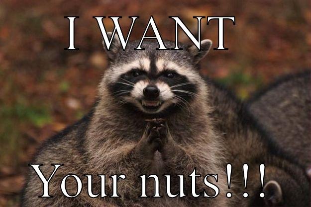 Image result for funny nut pictures