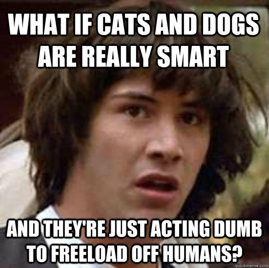 What if cats and dogs are really smart And they're just acting dumb to freeload off humans? 