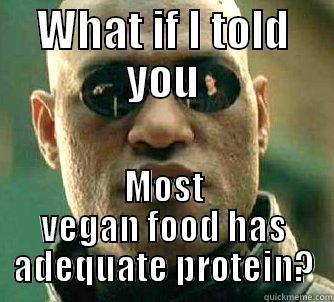 Why Protein is So Important for Vegans is it