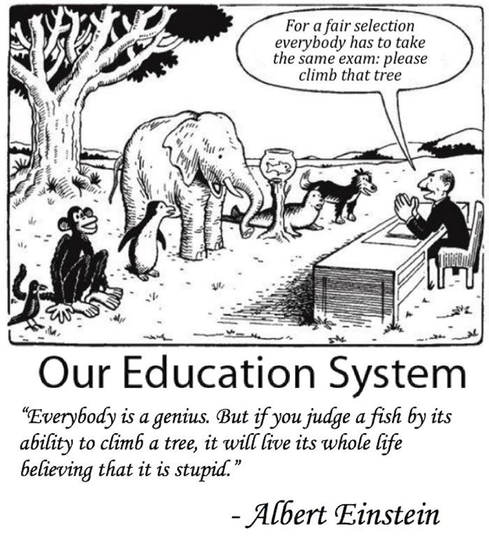 Our Education in a nutshell -   Misc